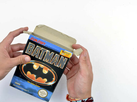 Batman: The Video Game