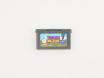 Spyro Adventure